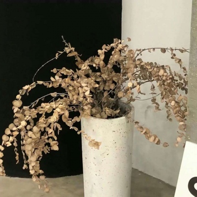 Furry插画手绘技巧干货兽圈社群